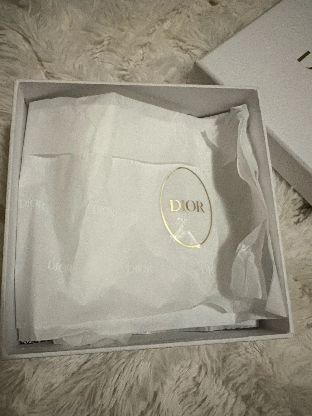 Dior signature oblique